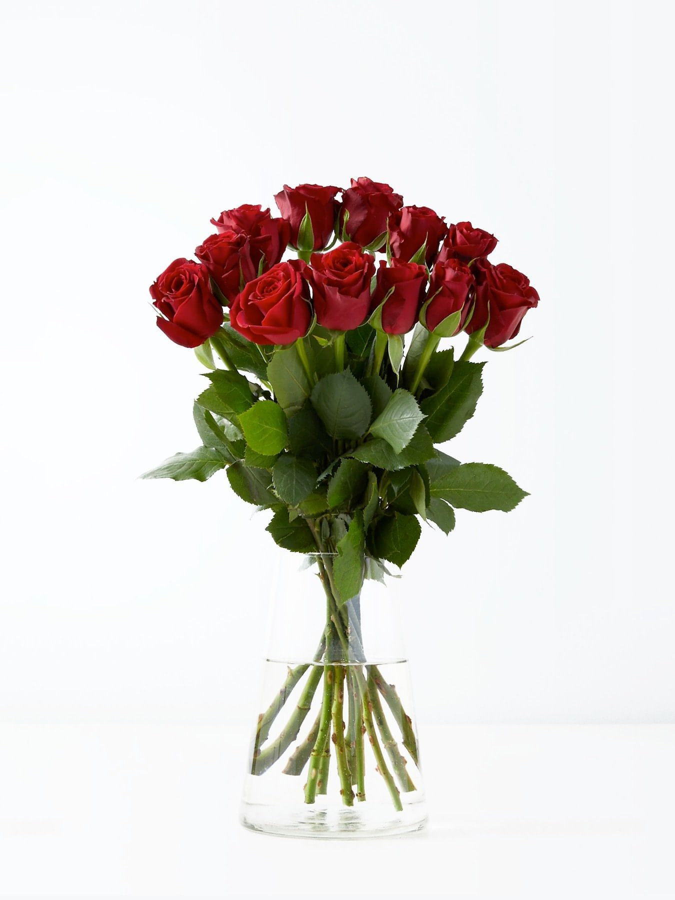 12 deals red roses